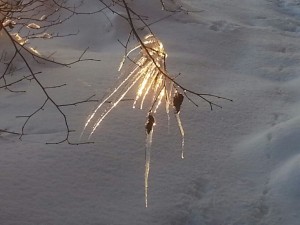 IMG-20150101-WA0009